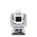 INTIMSPOT260XWHT (4).jpg