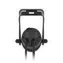 COLORDASH ACCENT 5X IP-BACK.jpg