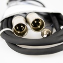 CBI Cables - 2 x MXLR -1/8 Mini Jack 10FT Cable