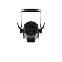 OVATION REVE P2 IP-BACK.jpg