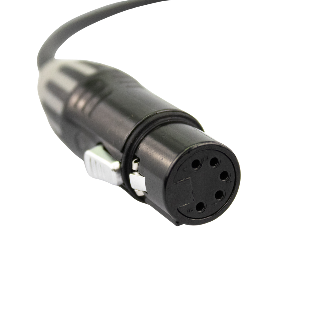 Untitled design (50).png