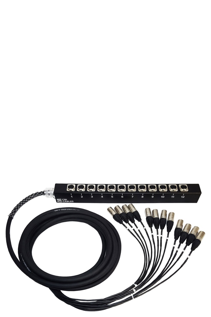 CBI - 12 Channel Drop Snake 30FT
