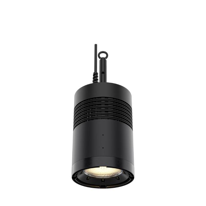 Chauvet Ovation REVE H-1 Houselight
