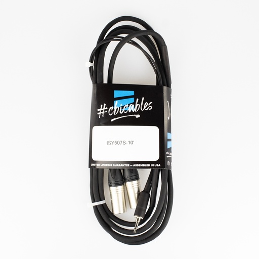 [CBI-ISY507S-10] CBI Cables - 2 x MXLR -1/8 Mini Jack 10FT Cable