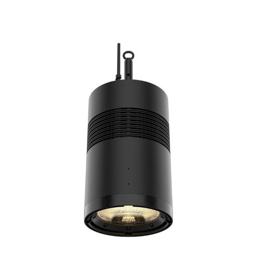 [OVATIONREVEH2] Chauvet Ovation REVE H-2 Houselight